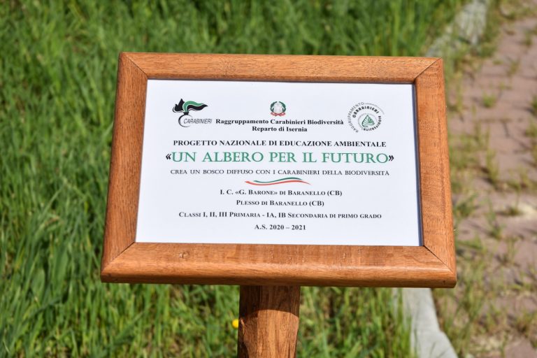 Scopri di più sull'articolo 27 aprile 2021 – Progetto ambientale con la presenza del comando dei carabinieri della Forestale