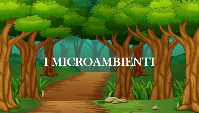 Al momento stai visualizzando “I microambienti” – Classe 2^ Scuola Primaria di Baranello